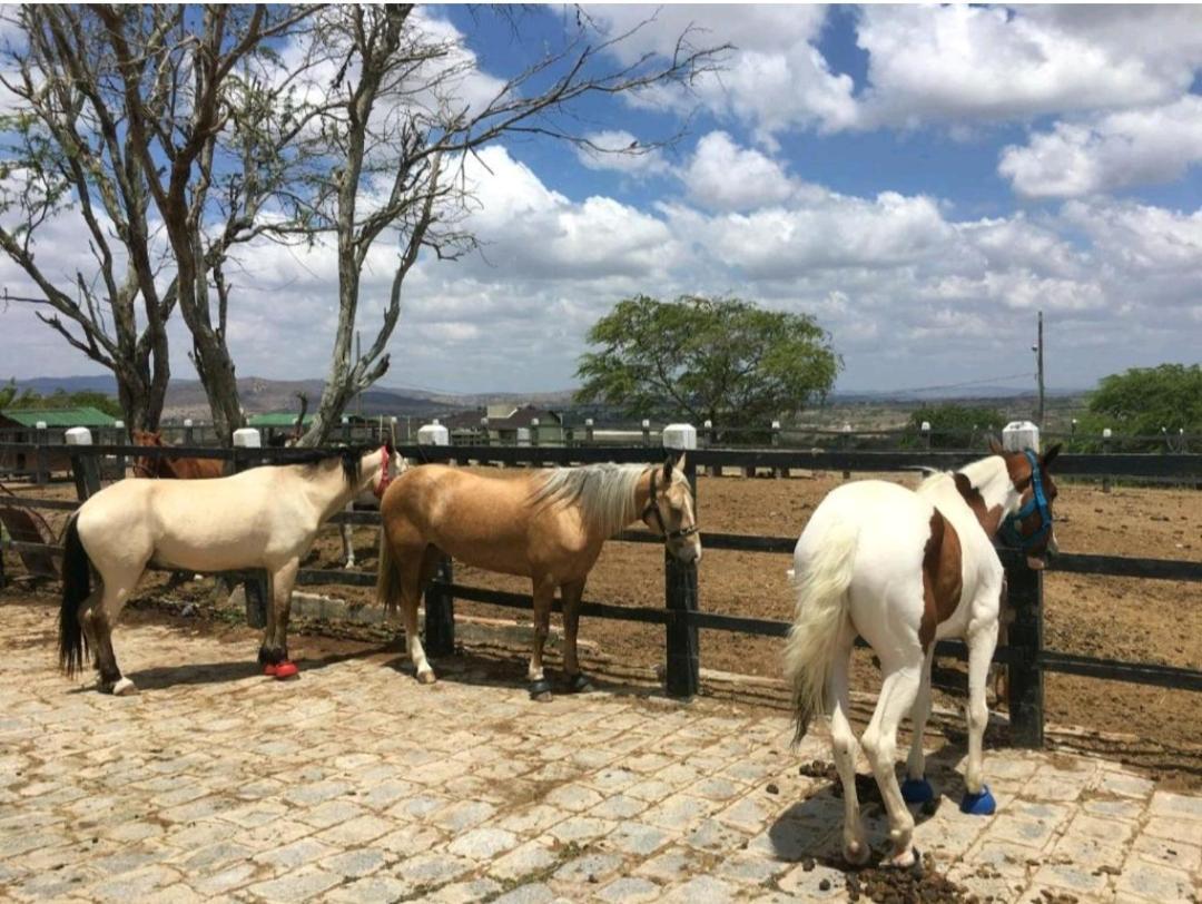 Apart Hotel Fazenda Monte Castelo - Gravata Kültér fotó